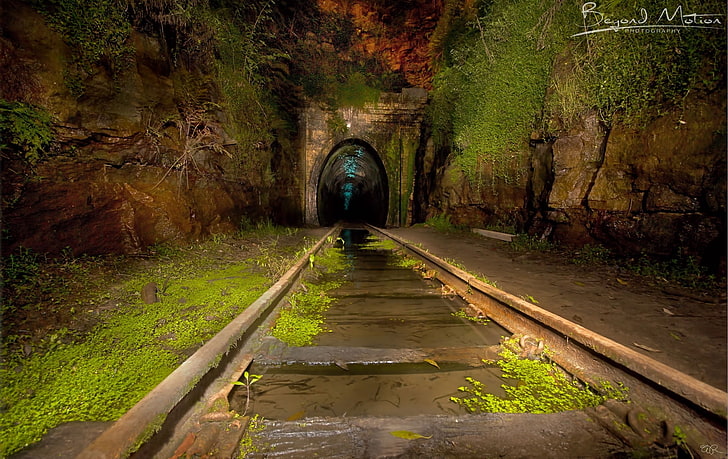 бежевый бетонный поезд, тоннель, фотография, железная дорога, тоннель, заброшенный, растения, вода, камень, Австралия, светящиеся черви, HD обои