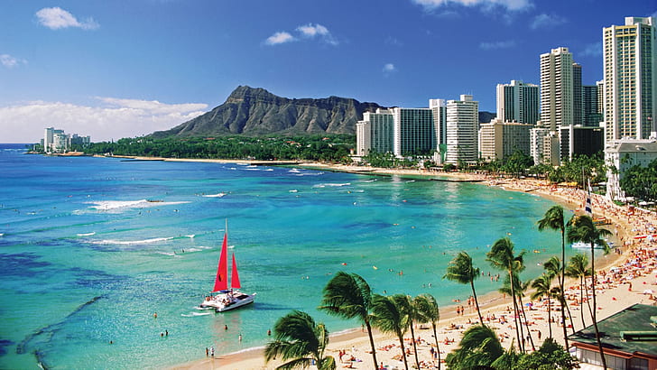 วอลเปเปอร์เดสก์ท็อป Hawaii City Beach ХД 2560 × 1440, วอลล์เปเปอร์ HD