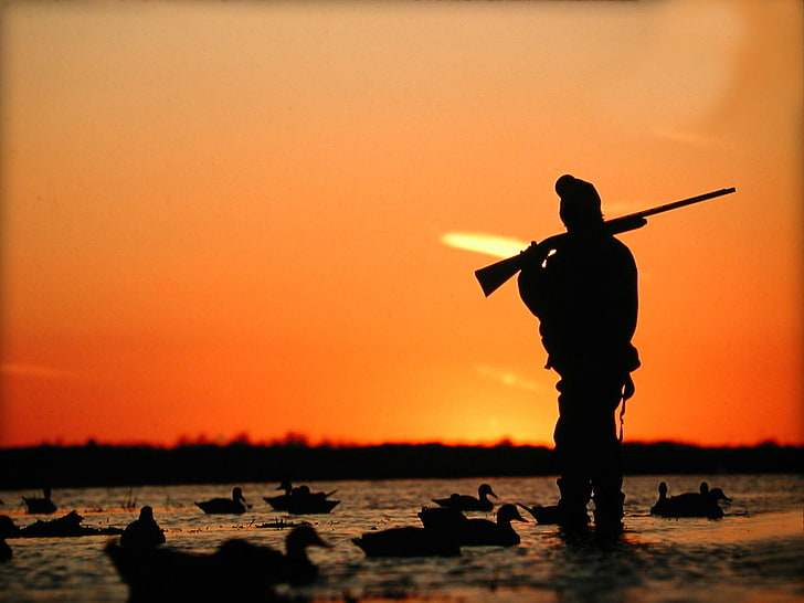 Ducks Hunting, silhouette of man holding rifle, Sports, Hunting, lake, HD wallpaper
