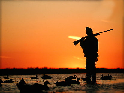 Anatre da caccia, sagoma di un uomo che tiene un fucile, sport, caccia, lago, Sfondo HD HD wallpaper