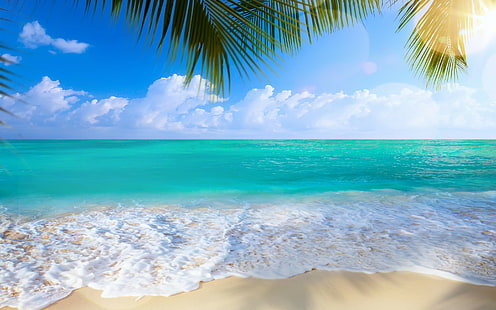 Beach, sea, shore, white salts, summer, beach, Sea, shore, paradise, tropical, sand, palms, palm trees, HD wallpaper HD wallpaper