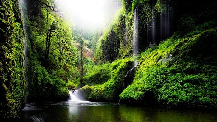 waterfall, greens, lake, forest, waterfalls, HD wallpaper