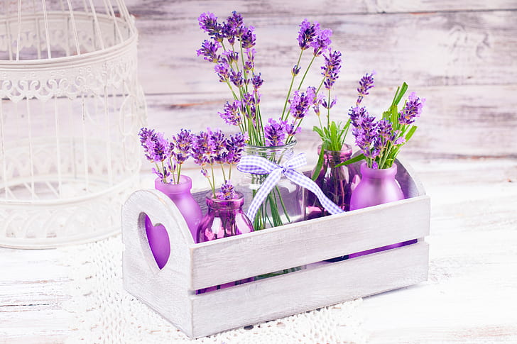 flowers, bottle, banks, box, ribbon, lavender, bokeh, HD wallpaper