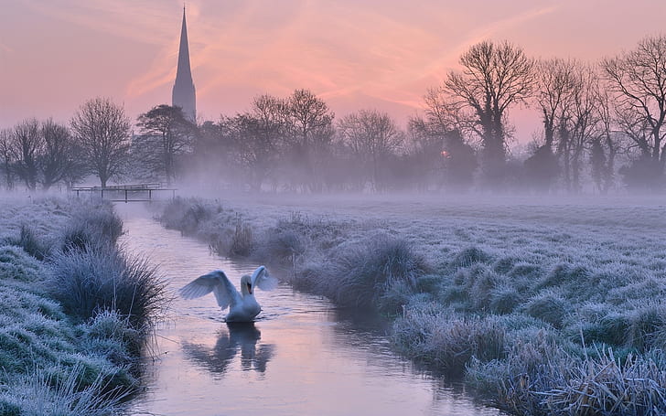 UK, England, Cathedral, winter, frost, river, trees, swan, dusk, UK, England, Cathedral, Winter, Frost, River, Trees, Swan, Dusk, HD wallpaper