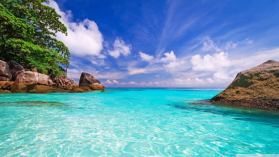 أماكن غريبة ، الشواطئ الجميلة ، الصخور الساحلية ، الأشجار ، المحيط الأزرق ، الماء الشفاف ، الأبيض ، الغيوم البيضاء ، خلفيات الصيف للكمبيوتر ، HD 2560 × 1440، خلفية HD HD wallpaper