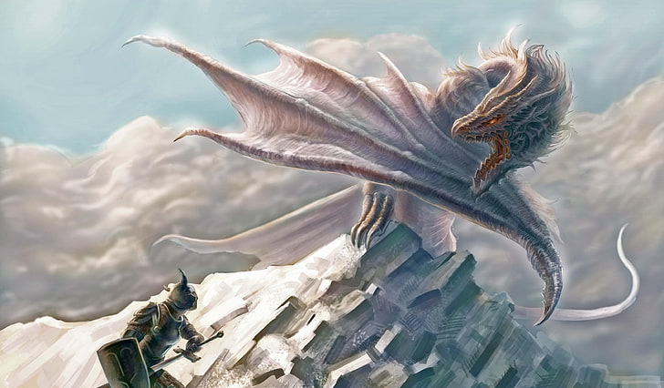 gray wyvern illustration, dragon, mouth, warrior, rock, protection, HD wallpaper