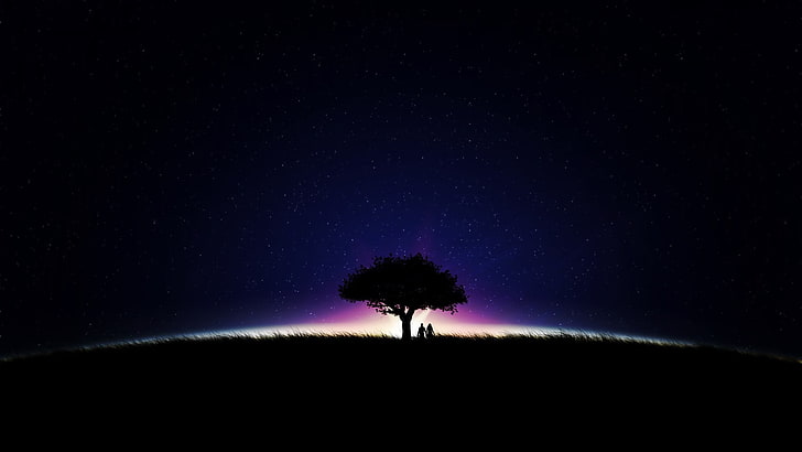 silueta de árbol, ilustraciones, anime, cielo, estrellas, árboles, hierba, noche, paisaje, Fondo de pantalla HD