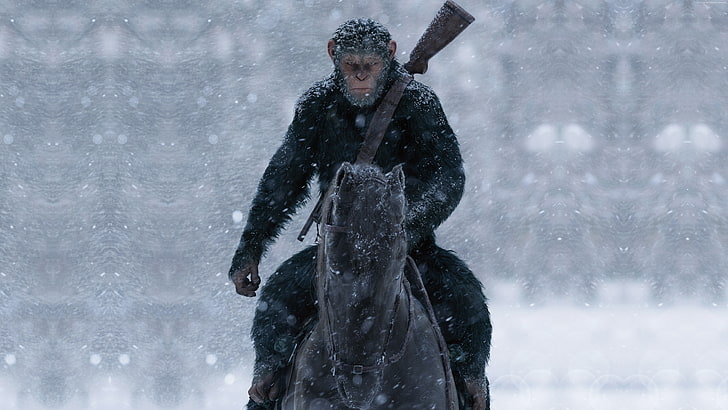 War for the Planet of the Apes, 5k, HD wallpaper
