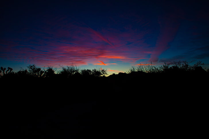 Silhouette des Hügels bei Sonnenuntergang, Joshua Tree National Park, Landschaft, Abend, Sonnenuntergang, HD-Hintergrundbild
