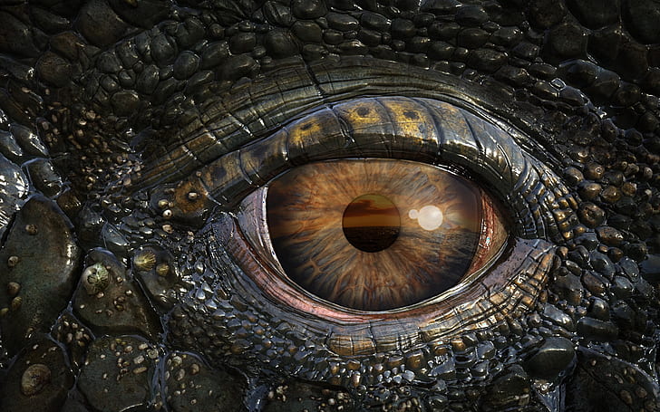 Мозазавровский глаз, динозавр, HD обои
