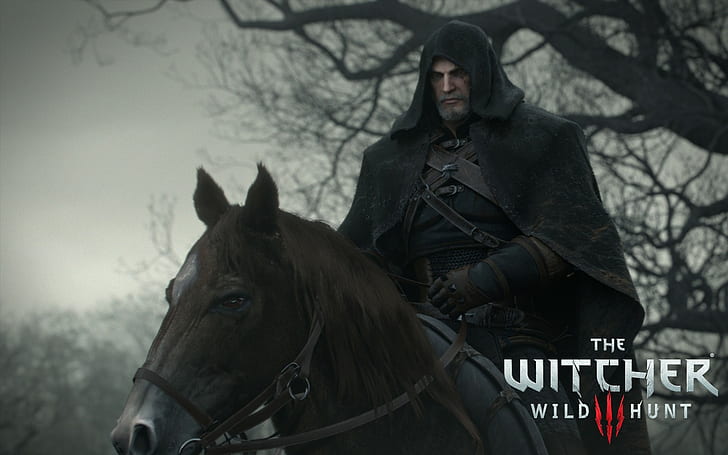 The Witcher Wild Hunt графичен тапет, The Witcher 3: Wild Hunt, видео игри, Geralt of Rivia, HD тапет