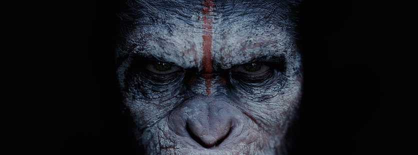 Ewolucja planety małp 2014 Film, tapeta z szarego i czarnego szympansa, filmy, inne filmy, film, science fiction, 2014, Koba, Ewolucja planety małp, Tapety HD HD wallpaper