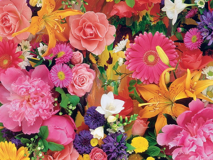 Flowers, Flower, Colorful, Colors, Daisy, Gerbera, Lily, Pink Flower, Purple Flower, Rose, Yellow Flower, HD wallpaper
