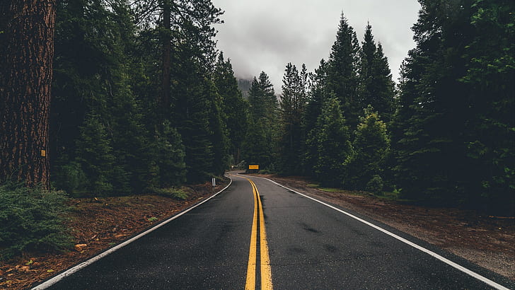 Man Made, Road, Forest, HD tapet