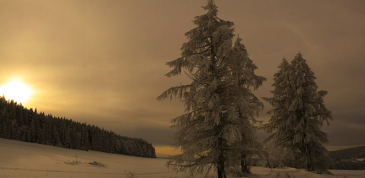 森、雪、山、夕方、チェコ共和国、ボヘミア、シュマバ国立公園、ボロバラダ周辺、冬シュマバ、 HDデスクトップの壁紙