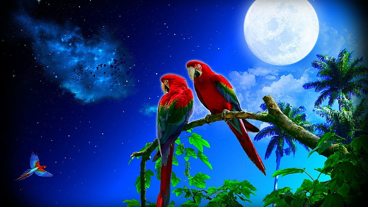 árbol, pareja, cielo, naturaleza, estrellas, noche estrellada, cielo nocturno, noche, luz de la luna, arte fantasía, luna, organismo, rama, loro, guacamayo, pájaro, luna llena, Fondo de pantalla HD
