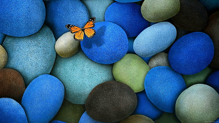Yellow butterfly on blue stone, brown and black butterfly, butterfly, blue, stone, nature, HD wallpaper