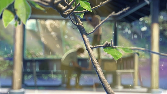 planta de hojas verdes, El jardín de las palabras, anime, Makoto Shinkai, Fondo de pantalla HD HD wallpaper