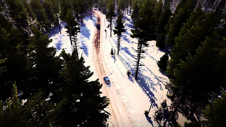 DiRT Rally, 랠리 자동차, HD 배경 화면