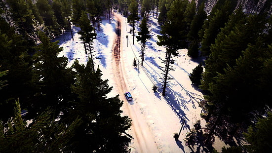 DiRT Rally, coches de rally, Fondo de pantalla HD HD wallpaper