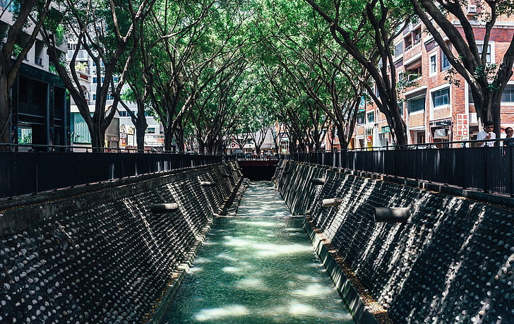 kanal mellan träd, Japan, stadsbild, HD tapet