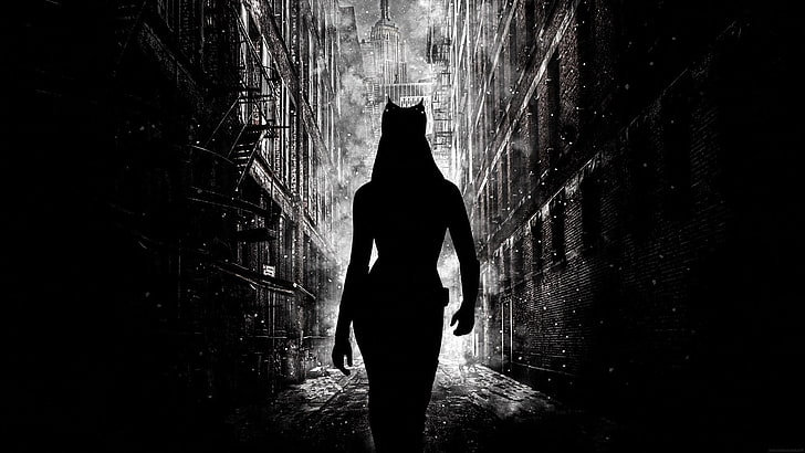 silhouette of woman, movies, The Dark Knight Rises, Catwoman, Anne Hathaway, Batman, Gotham City, silhouette, HD wallpaper