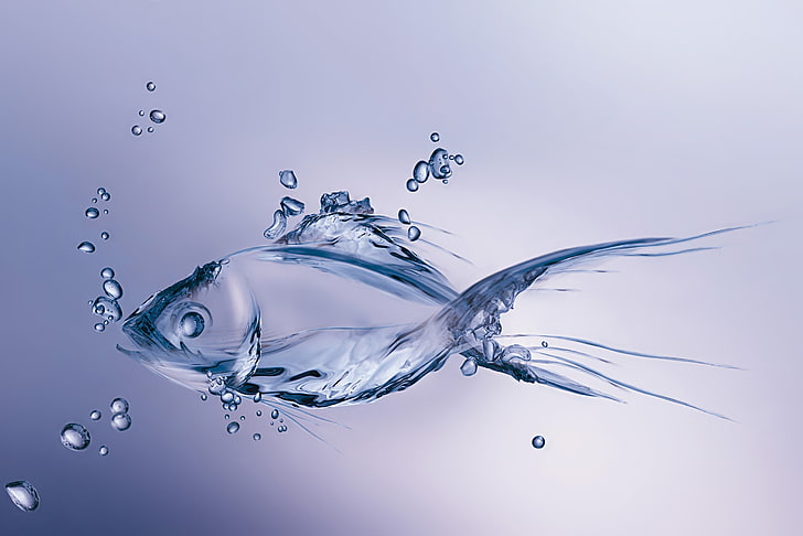 Wasserfisch Fotomanipulation, Wasser, Blasen, Minimalismus, Fisch, Figur, gemacht, HD-Hintergrundbild