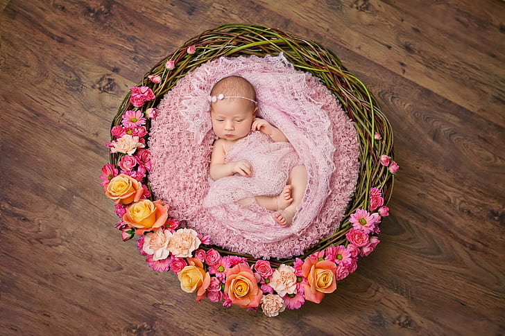 flowers, basket, baby, wicker, infants, HD wallpaper