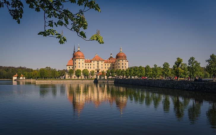 air, cabang, refleksi, kastil, Jerman, Saxony, Moritzburg, Kastil Moritzburg, Wallpaper HD
