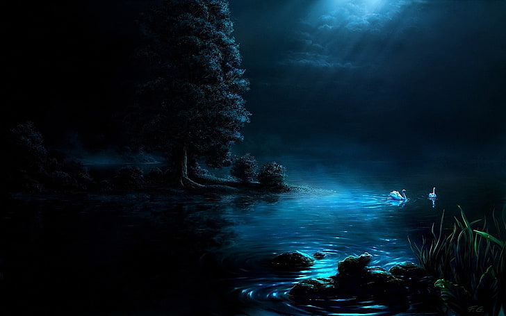 หงส์ในทะเลสาบวอลล์เปเปอร์หงส์สระน้ำสวนต้นไม้แสงภาพวาดศิลปะ, วอลล์เปเปอร์ HD