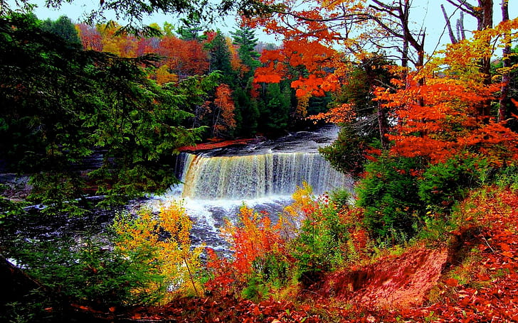 Autumn River Falls, forest, a waterfall, trees, fall, river, nature and landscapes, HD wallpaper
