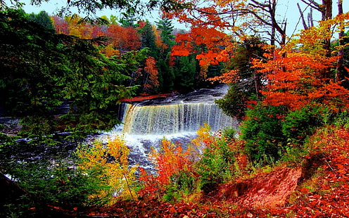 Autumn River Falls, foresta, una cascata, alberi, caduta, fiume, natura e paesaggi, Sfondo HD HD wallpaper