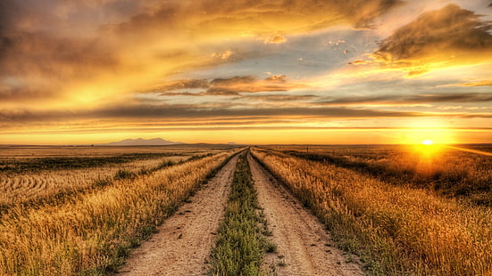 country, road, sunset, field, pathway, HD wallpaper HD wallpaper