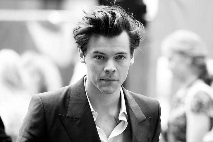 Singers, Harry Styles, Black and White, English, Singer, HD wallpaper