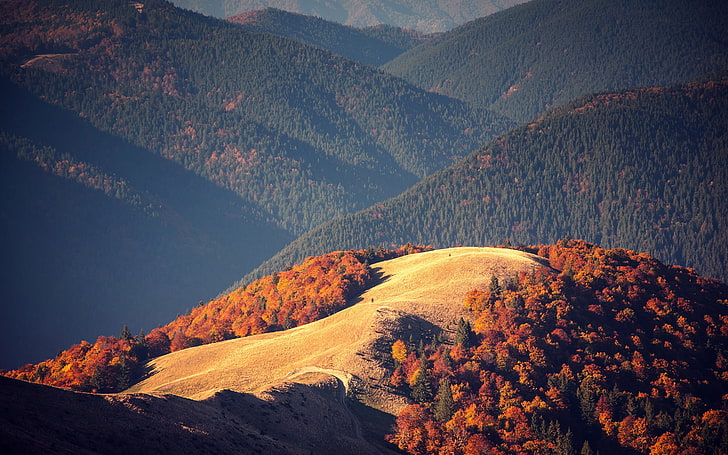 wallpaper gunung, bukit-bukit coklat di bawah langit biru, gunung, alam, hutan, jatuh, Wallpaper HD