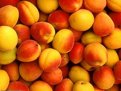 fruits de pêche jaune et rouge, abricot, fruit, sucré, Fond d'écran HD HD wallpaper