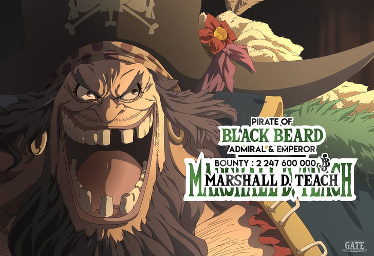 One Piece, Marshall D. Lehren, HD-Hintergrundbild