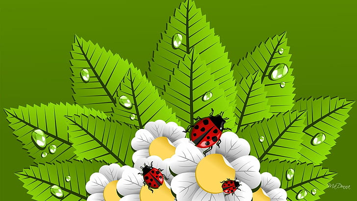 Coming Of Spring, white and green flowers drawing, flowers, daisy, ladybugs, chamomile, leaves, green, spring, lady bug, fresh, summer, nature and la, HD wallpaper