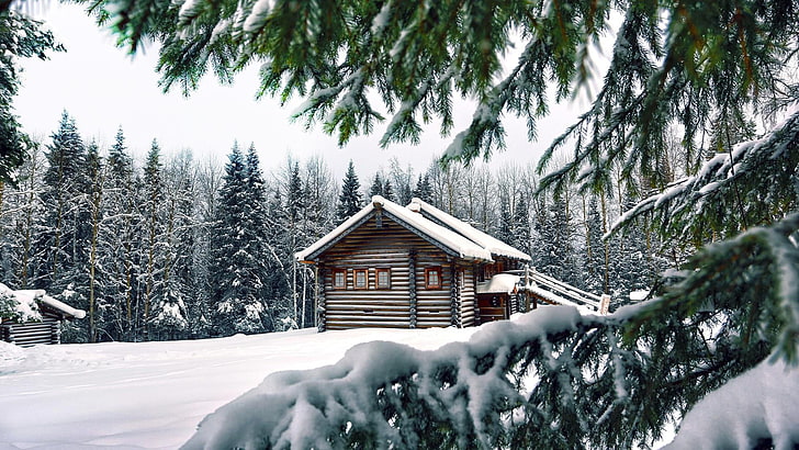 дървена кабина, сняг, зима, къща, дърво, природа, дървесни растения, замръзване, дом, бор, растение, ела, хижа, иглолистно дърво, HD тапет