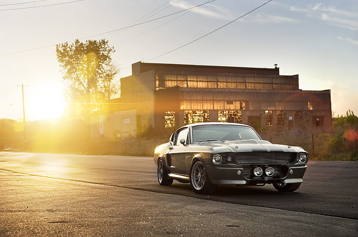 gray coupe, the sun, the building, Ford, Shelby, silver, Eleanor, GT 500, muscle car, Blik, front, silvery, HD wallpaper