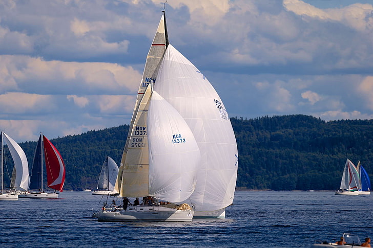 norway, sailing, the oslofjord, HD wallpaper