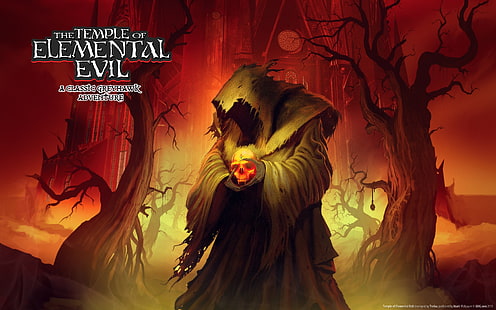 Temple Of Elemental Evil วิหารแห่งความชั่วร้ายของธาตุ, วอลล์เปเปอร์ HD HD wallpaper
