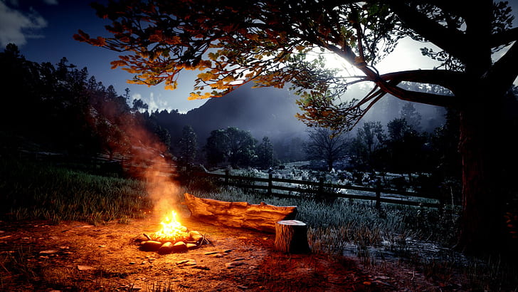 Red Dead Redemption 2, природа, огън, HD тапет