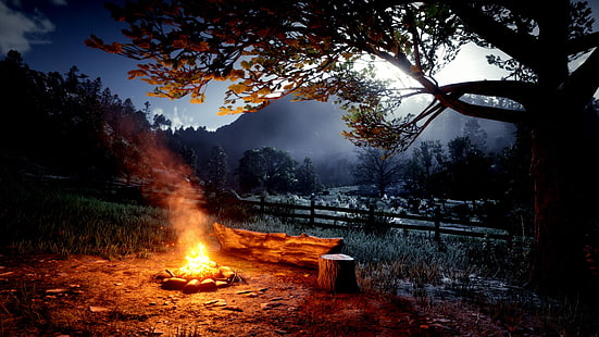 Red Dead Redemption 2、自然、火、 HDデスクトップの壁紙 HD wallpaper