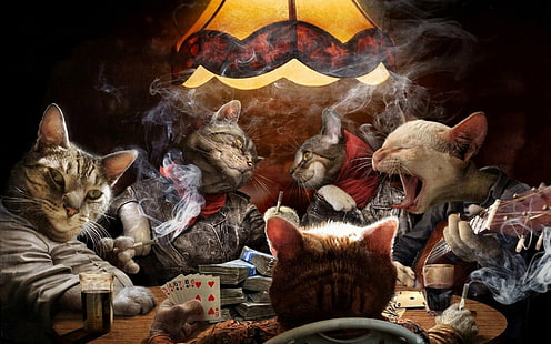 karty, koty, papieros, śmieszne, gra, humor, poker, dym, Tapety HD HD wallpaper