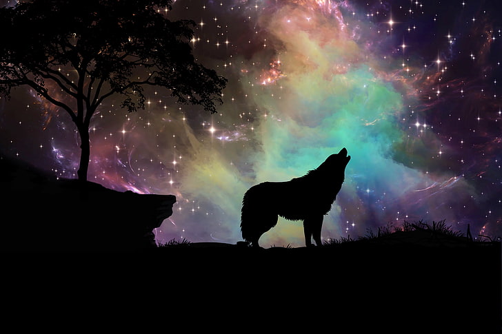 ilustração de lobo uivando, lobo, céu estrelado, silhueta, arte, HD papel de parede
