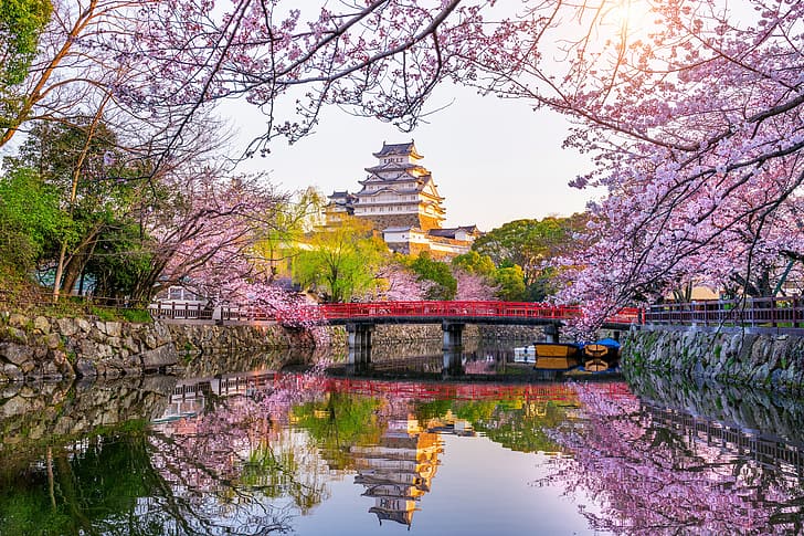 Park, spring, Japan, Sakura, flowering, blossom, cherry, castle, Himeji, HD wallpaper