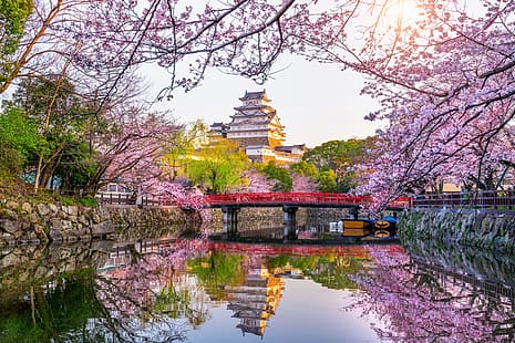 Парк, пролет, Япония, Сакура, цъфтеж, цвят, череша, замък, Химеджи, HD тапет HD wallpaper