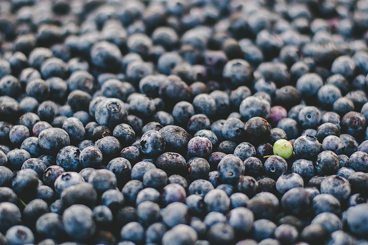 blueberry lot, blueberry, berry, ripe, many, HD wallpaper