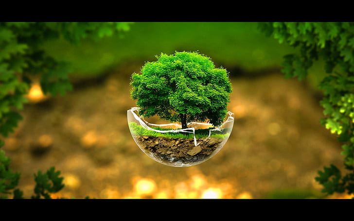Surreal Nature Sphere, surreal, natureza, esfera, fundo, árvore, árvore, HD papel de parede